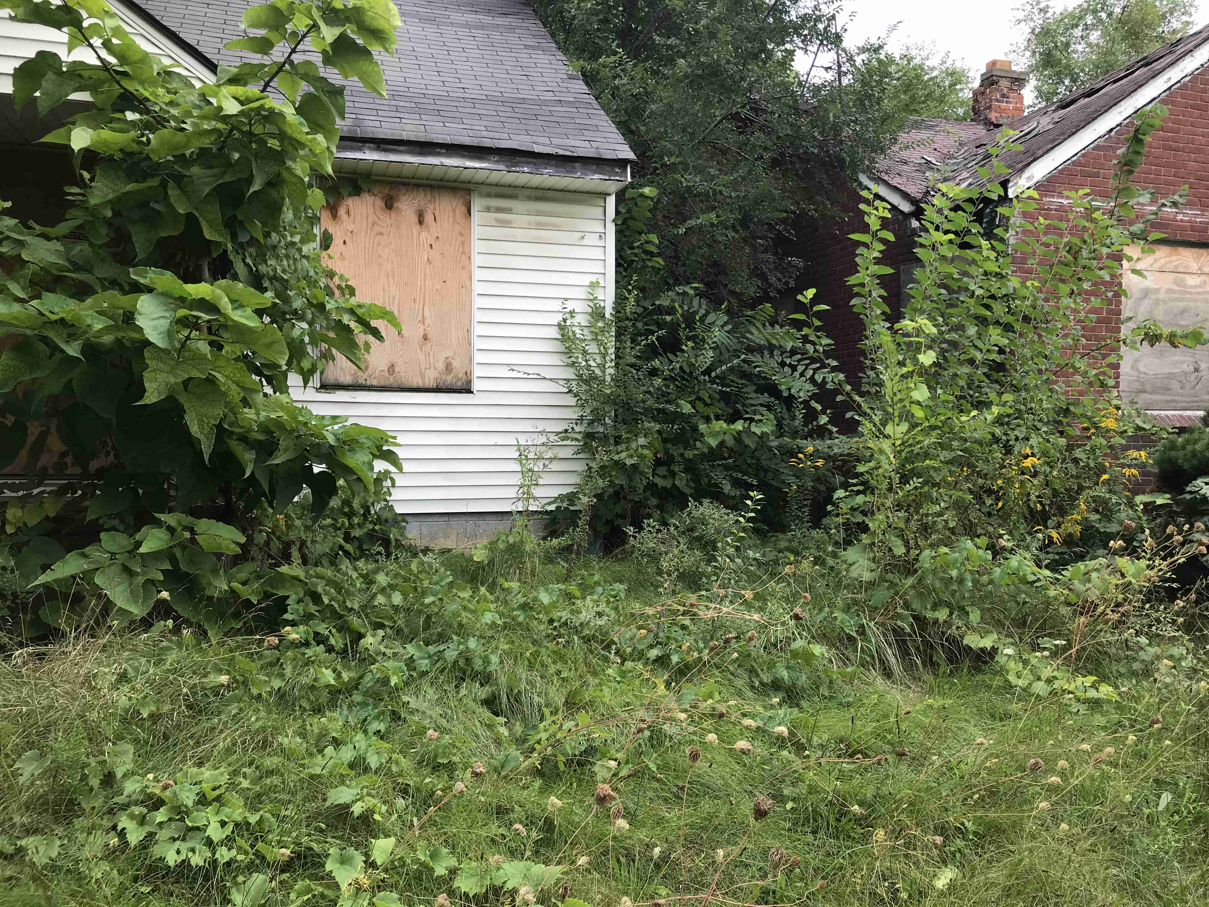 Photo Sep 10, 3 01 33 PM.jpg